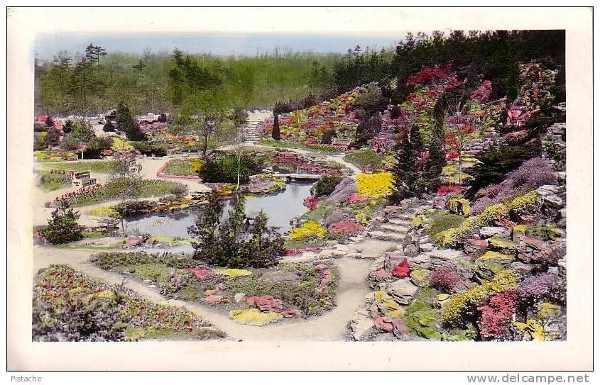 Carte Photo Couleurs Real Color Photo - Botanical Garden Hamilton Canada - Neuve - Hamilton