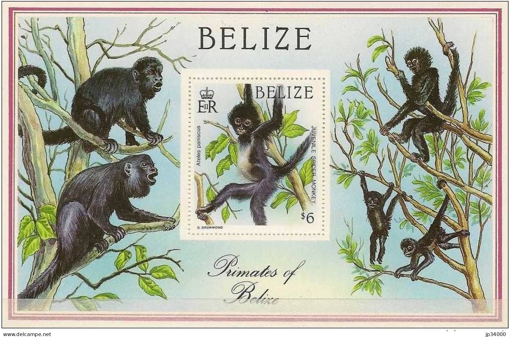 BELIZE Singes, Singe, Chimpanzés Yvert BF 81 ** MNH - Chimpancés