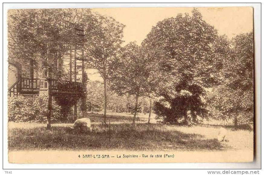 13860 - Sart-lez-Spa - La Sapinière "Vue De Côté" - Jalhay