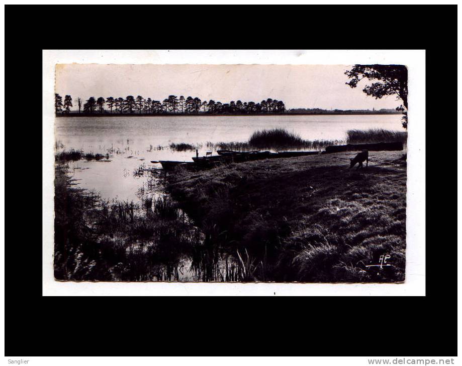 BOIS D'ARCY N° 9.805 - L'ETANG DE SAINT QUENTIN - Bois D'Arcy