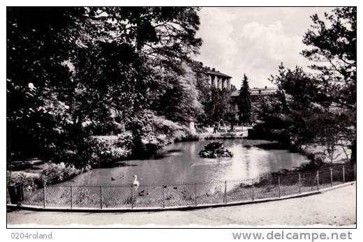 Montbrison - Le Jardin D'Allard  : Achat Immédiat - Montbrison