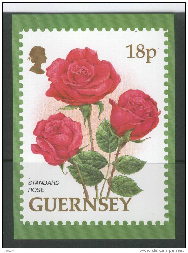 Guernesey Carte Maximum Sans Timbre Dimension 10,5 Cm X 14,5 Cm - Roses