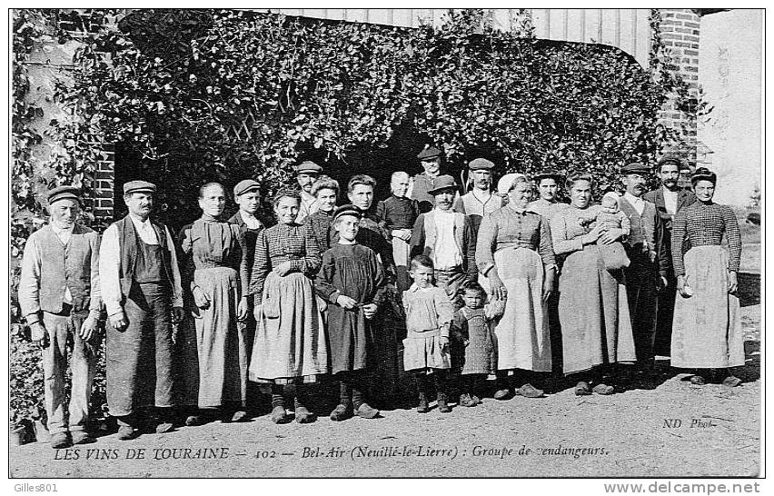 BEL-AIR - Groupede Vendangeurs - Neuillé-Pont-Pierre