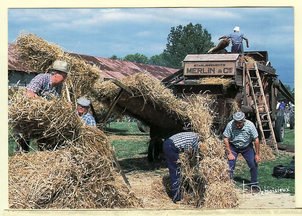 AGRICULTURE BATTEUSE MERLIN & Cie Moissonneuse  Poême Rainer Maria Rilke 1989¤ PHOTOS Francis DEBAISIEUX 323 ¤ CPAGR - Tractors
