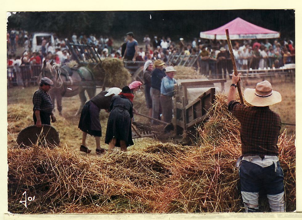 BATTAGES ANCIENNE MOULINS Pour MOUDRE EPIS DORE FOUR DONNERA PAIN CPM 1975s¤ JOS ¤ AGRICULTURE ¤ CPAGR 5295AA - Landbouw