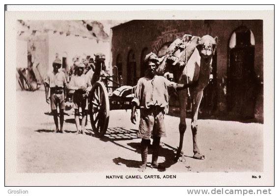 NATIVE CAMEL CARTS ADEN 9 (ATTELAGE CHAMEAU BEAU PLAN ET ANIMATION) - Yemen