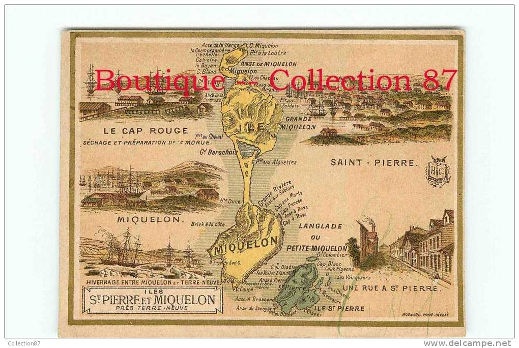 SAINT PIERRE Et MIQUELON - Peche Et Sechage De La Morue Terre Neuve - Port - 5 Vues Et Carte Géographique - DOS VISIBLE - Saint-Pierre Und Miquelon