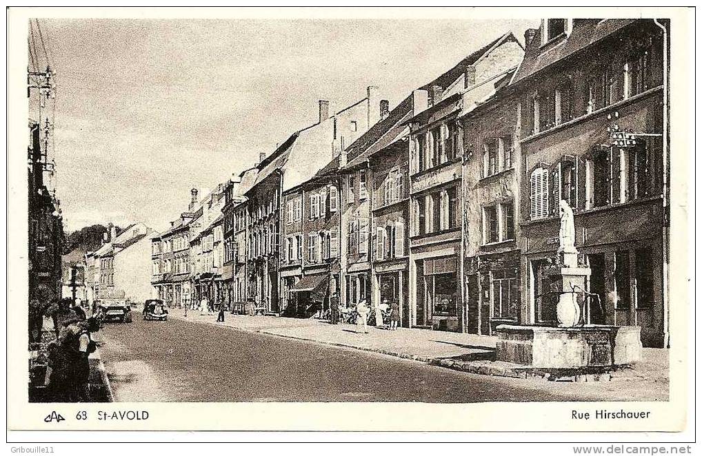 SAINT AVOLD   -    **  RUE HIRSCHAUER  Avec FONTAINE NEPOMUCENE **   -   Editeur  : C.A.P.   N° 68 - Saint-Avold