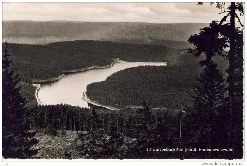 Schwarzenbach-See. Schwarzenbach-Talsperre Bei Forbach Im Nördl. Hochwarzwald - Forbach