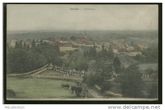 52 ANDELOT / Panorama / CARTE COULEUR - Andelot Blancheville