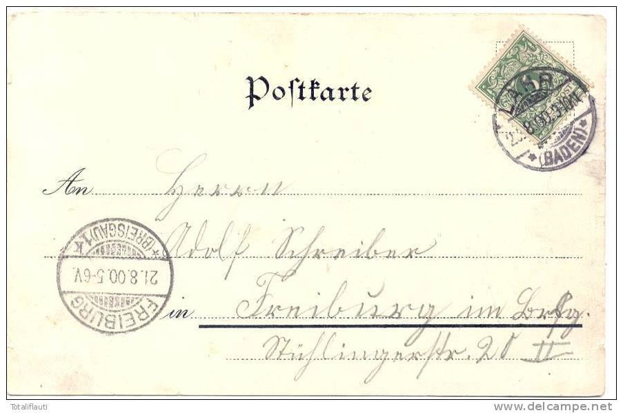 Lahr Color Litho Parthie Aus Dem Stadtpark Katholische Kirche Gesamt 22.8.1900 Gelaufen - Lahr