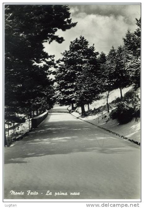 Cartolina - Monte Faito - Castellammare Di Stabia - La Prima Neve - Anni '50 - Campania - Castellammare Di Stabia