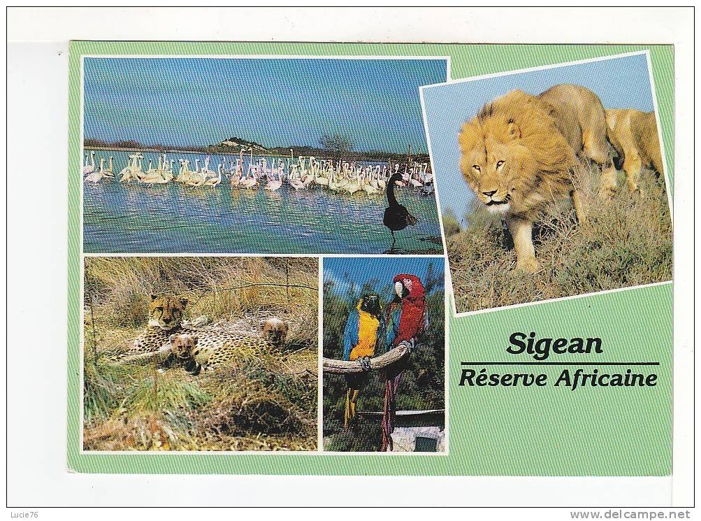 SIGEAN - Réserve Africaine   -  4 Vues   :  FLAMANTS ROSES - LION - PANTHERES - PERROQUET - Sigean