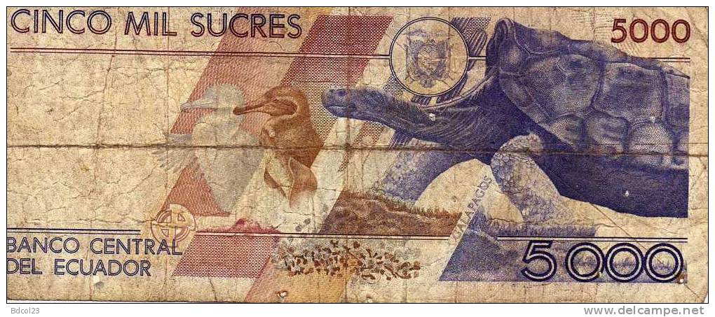 Billet Banque Equateur 5000 Pesos (004) - Equateur