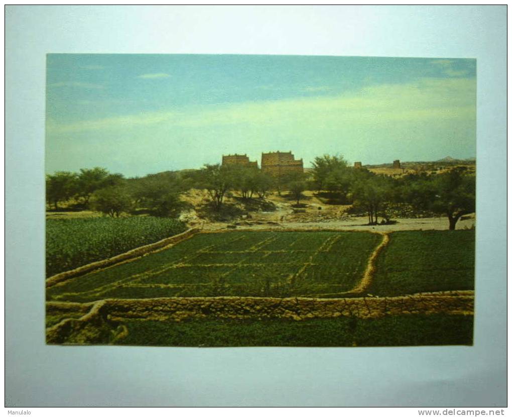 Cultivated Areas At The Southern Region Of The Kingdom - Gibraltar