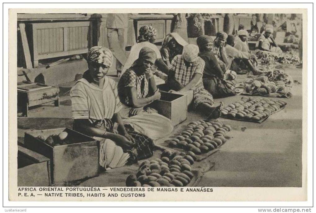 ÁFRICA - MOÇAMBIQUE - FEIRAS E MERCADOS -   Vendedeiras De Mangas E Ananáses Carte Postale - Mozambique