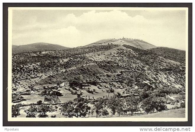 ELVAS (Portugal) - Forte Da Graça - Portalegre