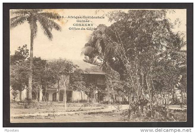 CONAKRY (Guinee Guinea Française) - Afrique Occidentale - Office Du Cable - Guinée Française