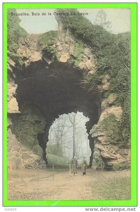 BRUXELLES - BOIS DE LA CAMBRE - LE RAVIN - ANIMÉE - CARTE EST ÉCRITE - - Parks, Gärten