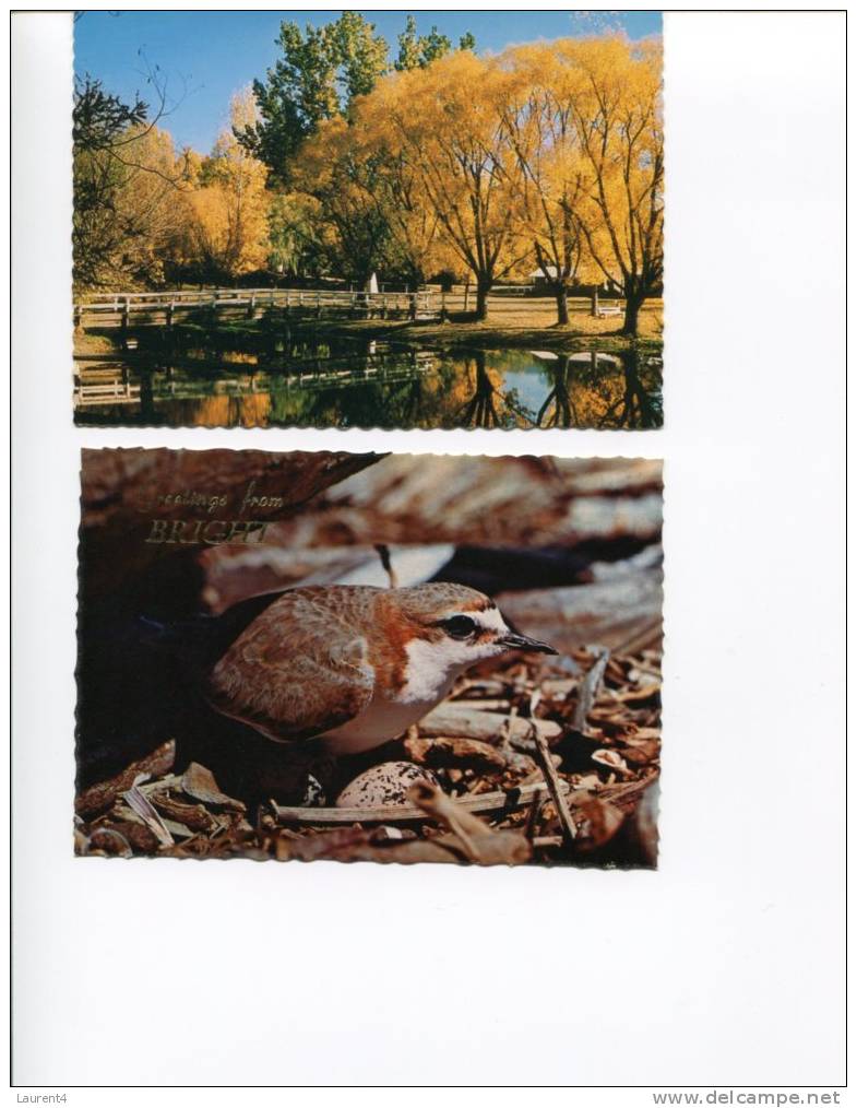 (2401) - 2 Older Bright - Victoria Postcard - Birds & Tree - Other & Unclassified