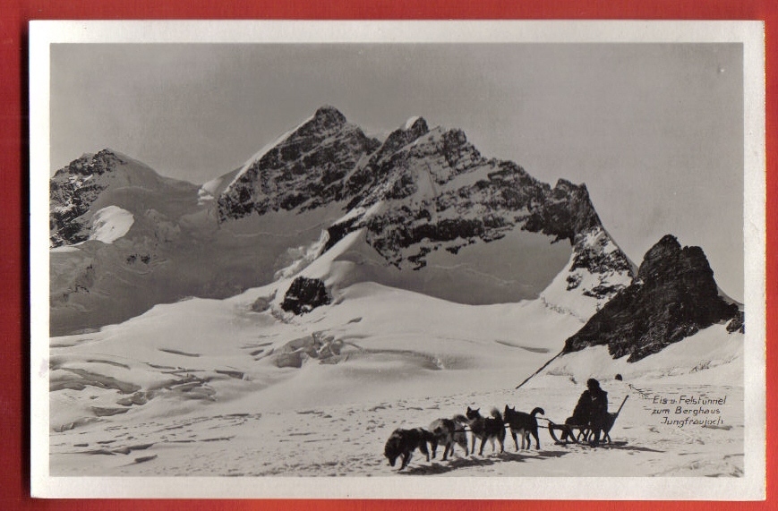 H1336 Chiens Polaires De Traineau Au Jungfraujoch, Eis U. Felstunnel Zum Berghaus. Beauclair 8051 - Chiens