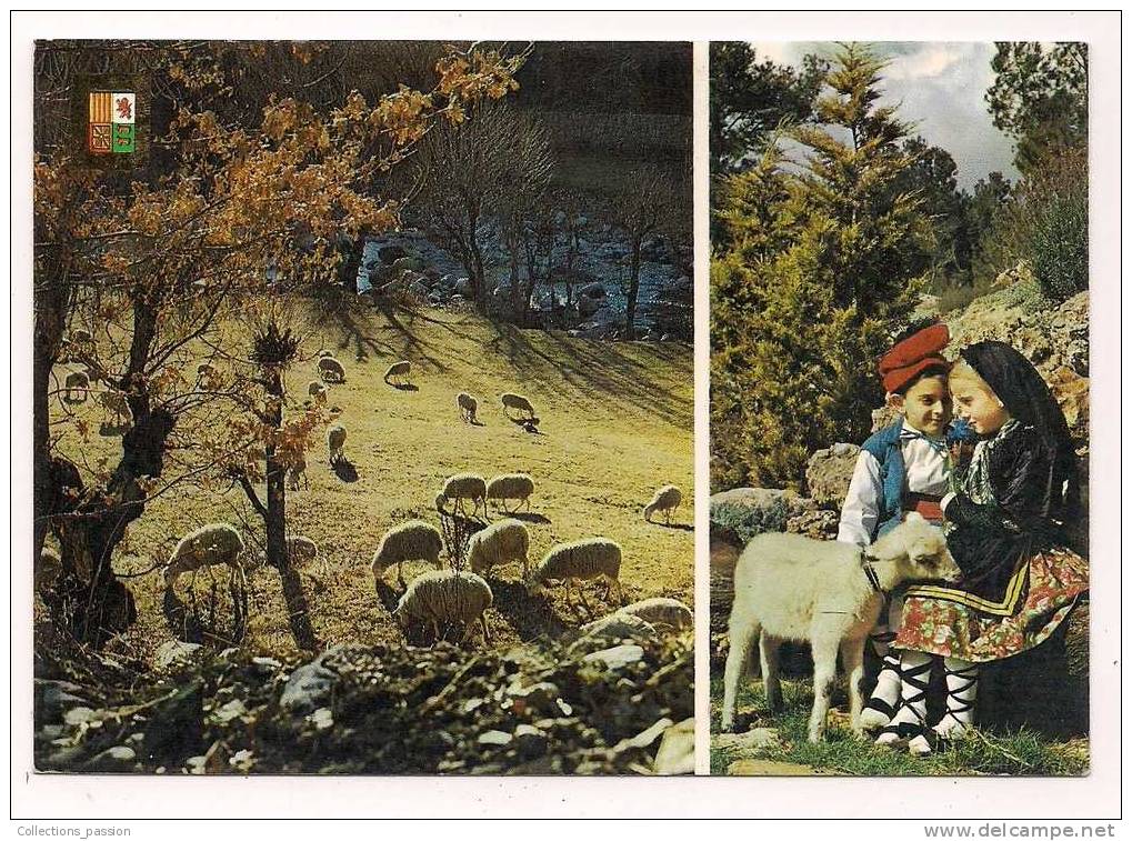 Cp , Paturage Pyrénéen , Berger , Bergére , Enfants , Moutons , Multi Vues , Voyagée - Midi-Pyrénées