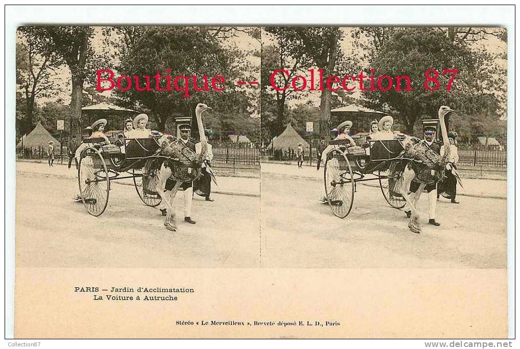 STEREOSCOPIQUE - VOITURE à AUTRUCHE Au JARDIN D´ACCLIMATATION - ZOO - ATTELAGE - BIRD - STEREOVIEW 1900's - Taxis & Droschken