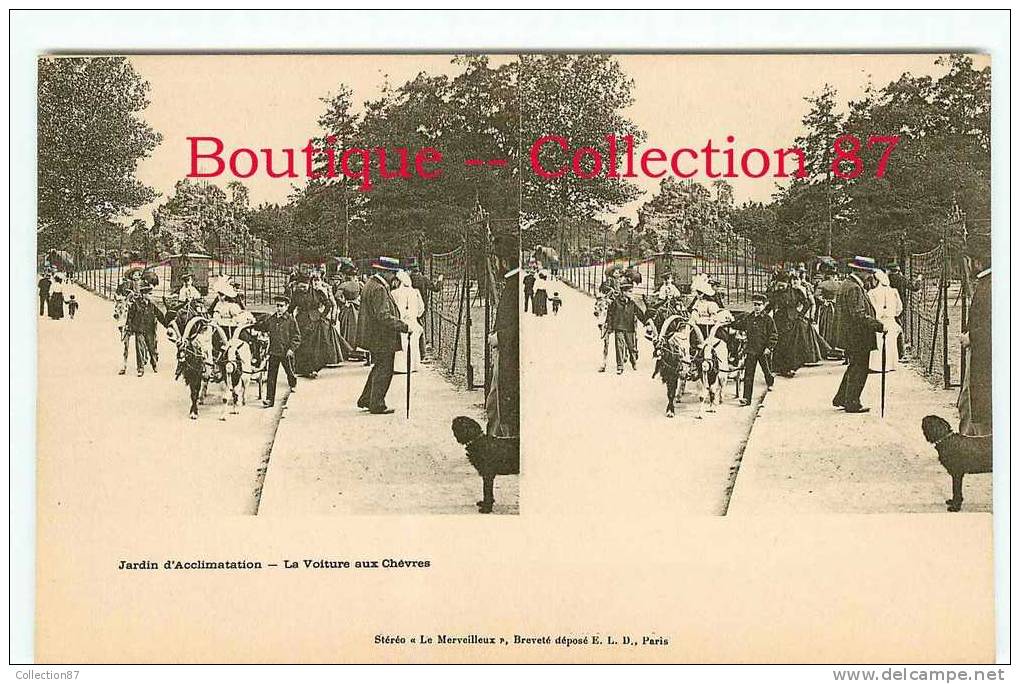 STEREOSCOPIQUE - VOITURE Aux CHEVRES & BOUC Au JARDIN D´ACCLIMATATION - ZOO - ATTELAGE De CHEVRE - STEREOVIEW - Taxi & Fiacre