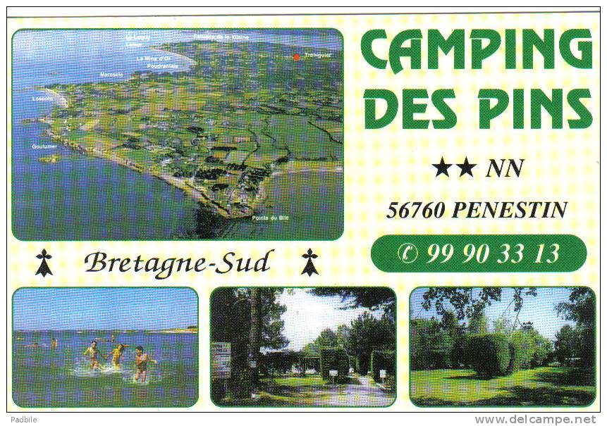 Carte Postale 56. Pénestin  Camping Des Pins  Route De La Roche Bernard  Trés Beau Plan - Pénestin