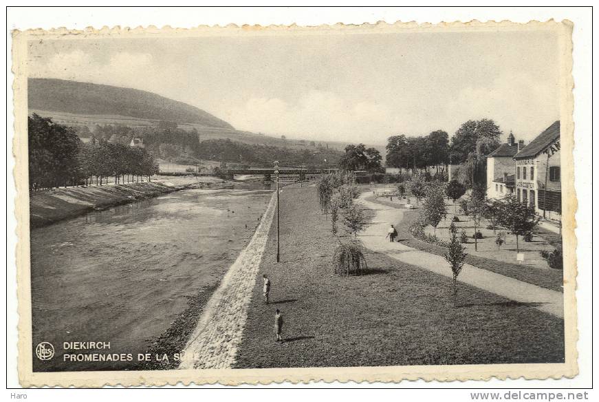 DIEKIRCH - Promenades De La Sûre  (1655)f - Diekirch