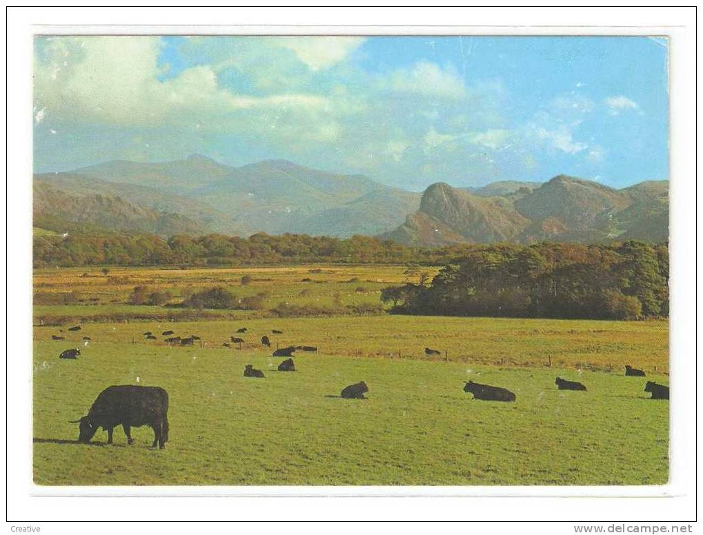 DYSYNNI VALLEY TOWARDS CADER IDRIS(écrit,cp Endommager) - Merionethshire