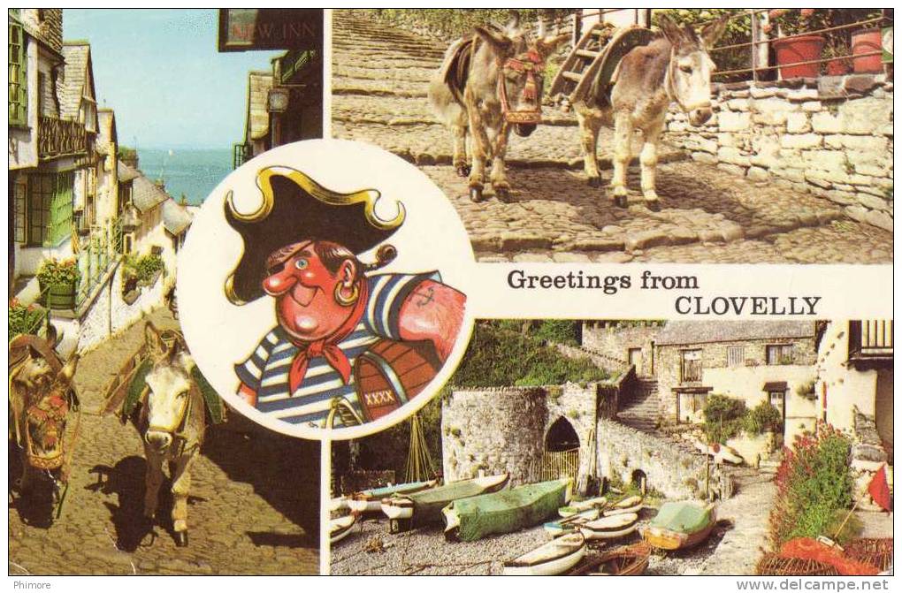 Ph-CPSM Angleterre Clovelly (Devon) Greetings From Clovelly, Donkeys, Harbour, Petit Format - Clovelly