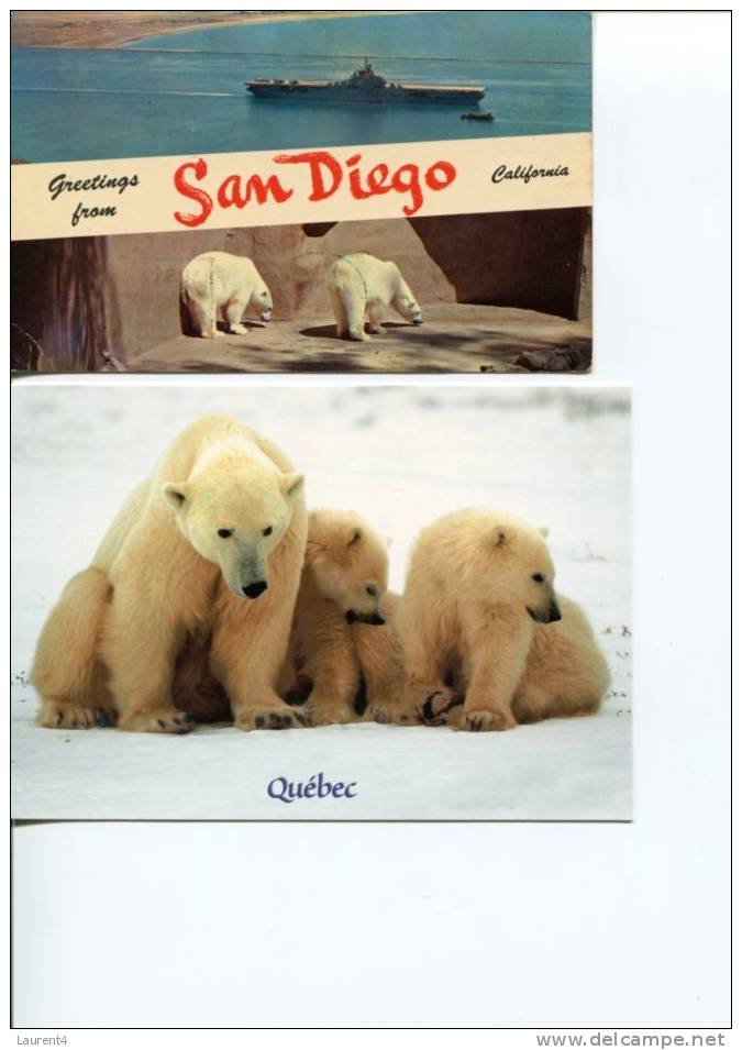 (2912) - 2 Polar Bear - Our Polaire (+Aircraft Carrier In San Diego) - Beren