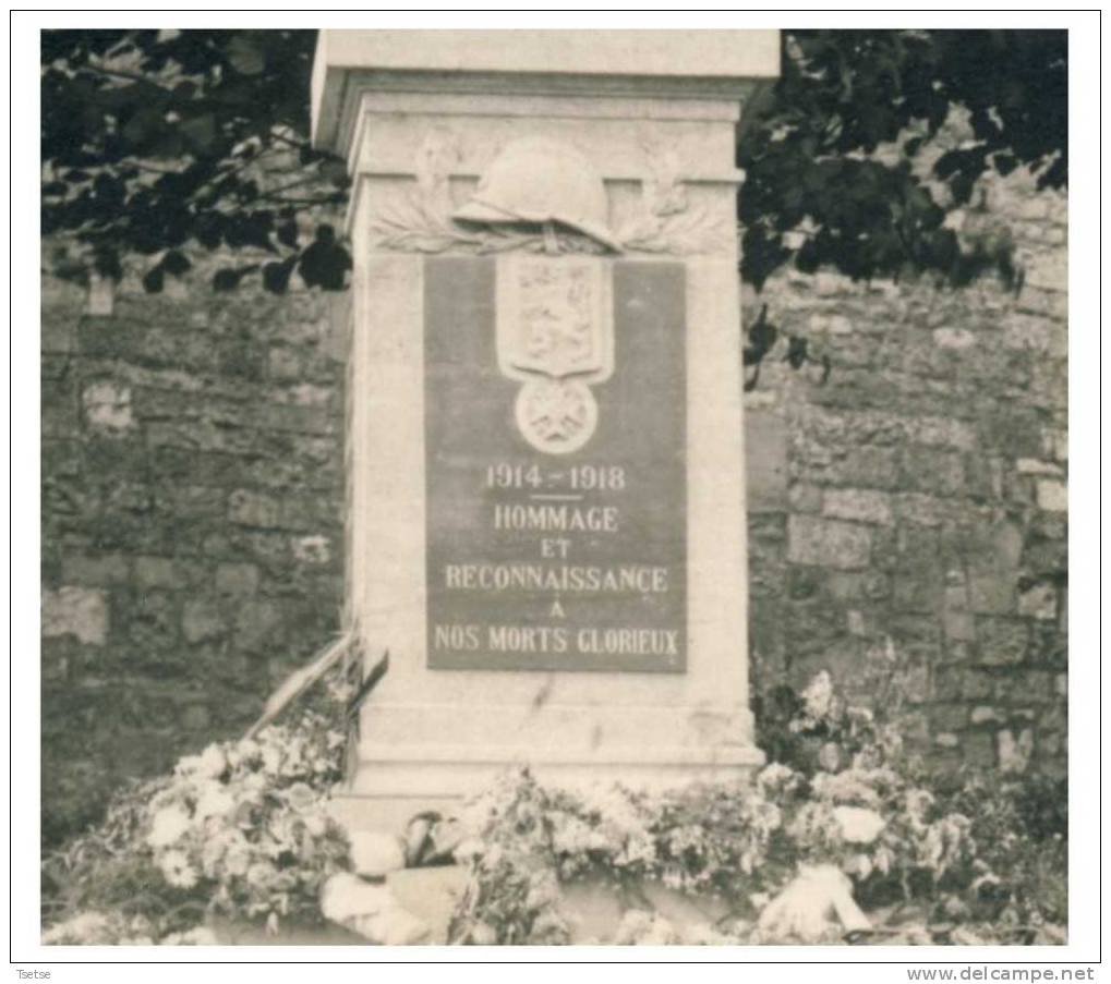 Leernes - Le Monument - Carte Photo -vue Verticale - Fontaine-l'Evêque