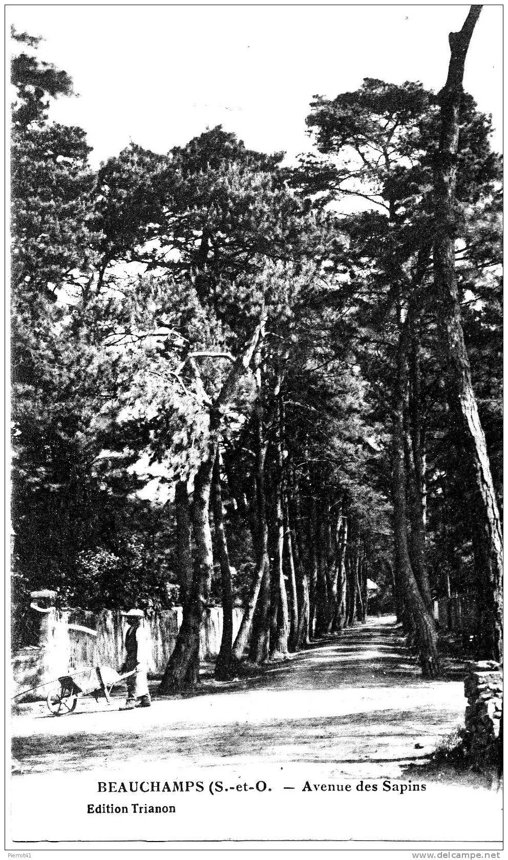 BEAUCHAMP - Avenue Des Sapins - Beauchamp