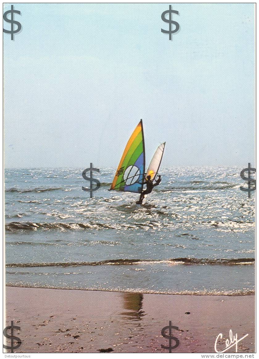 Planche à Voile Véliplanchiste Windboard 1984 - Sailing