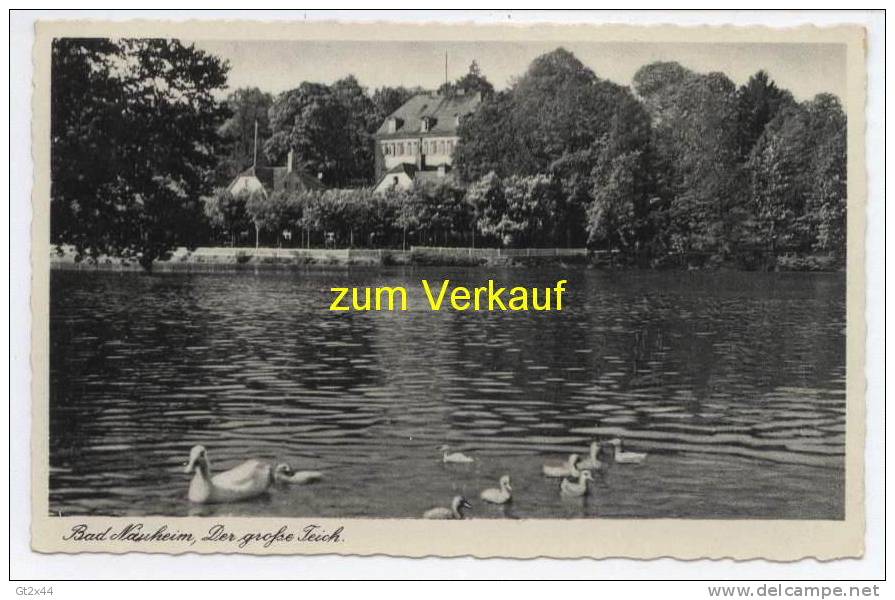 Bad Nauheim, Der Große Teich - Bad Nauheim