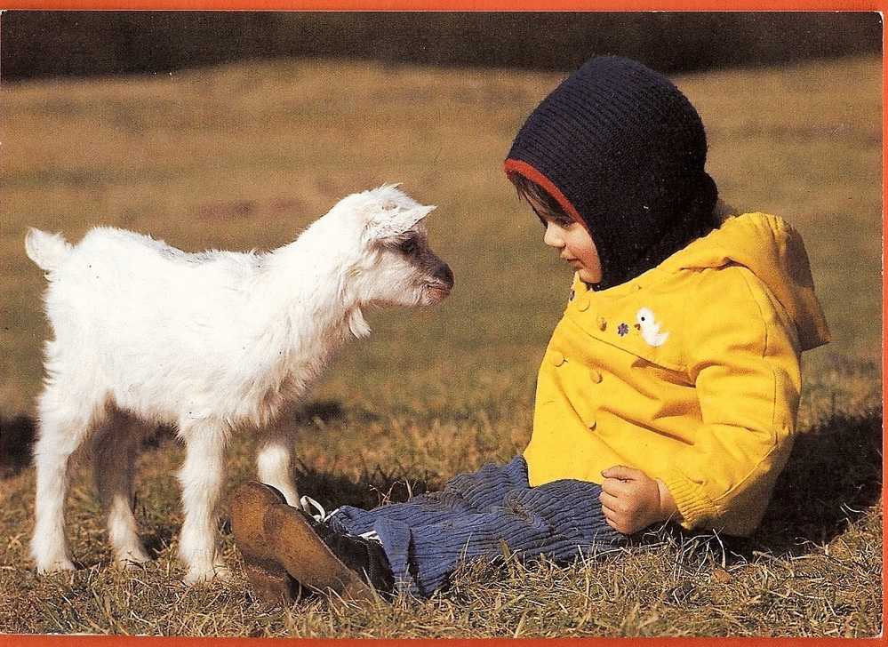 Ch104b En Engadine,Enfant Et Cabri.Chèvre,Ziege,goat. Non Circulé. Engadin Press AG 5660 - Autres & Non Classés