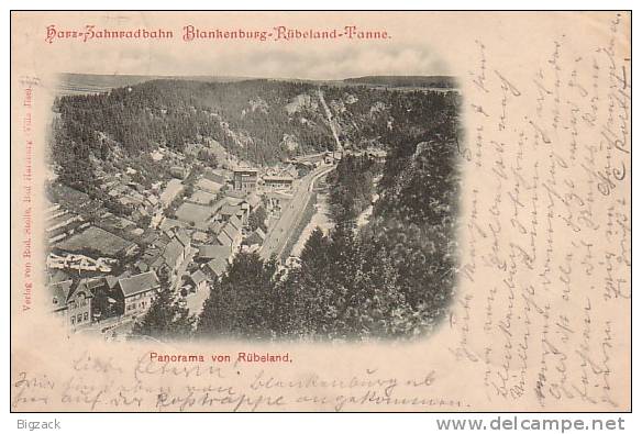 AK Panorama Vo Rübeland Gelaufen4.10.1899 - Blankenburg