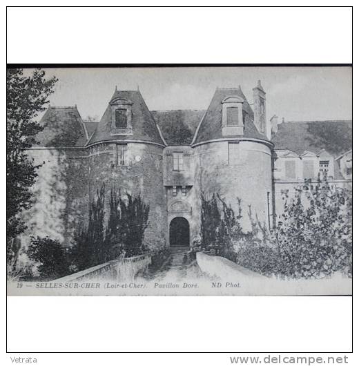 Carte Postale Selles-Sur-Cher, Pavillon Doré - Selles Sur Cher