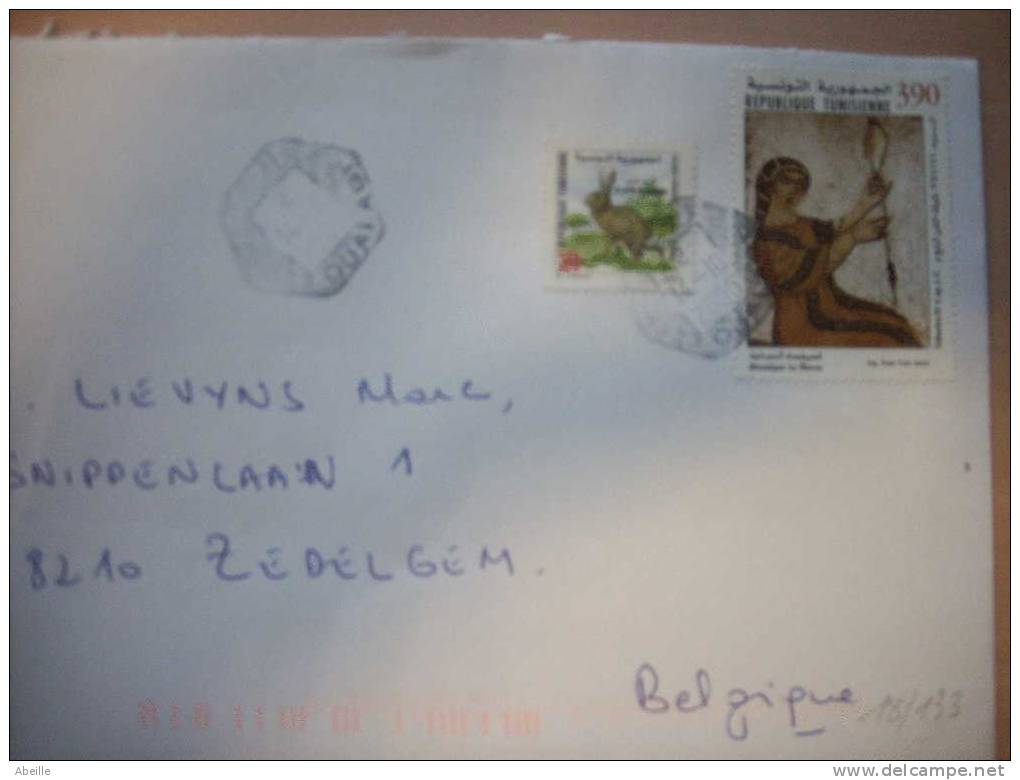 18/133   LETTRE   TUNESIE - Lapins