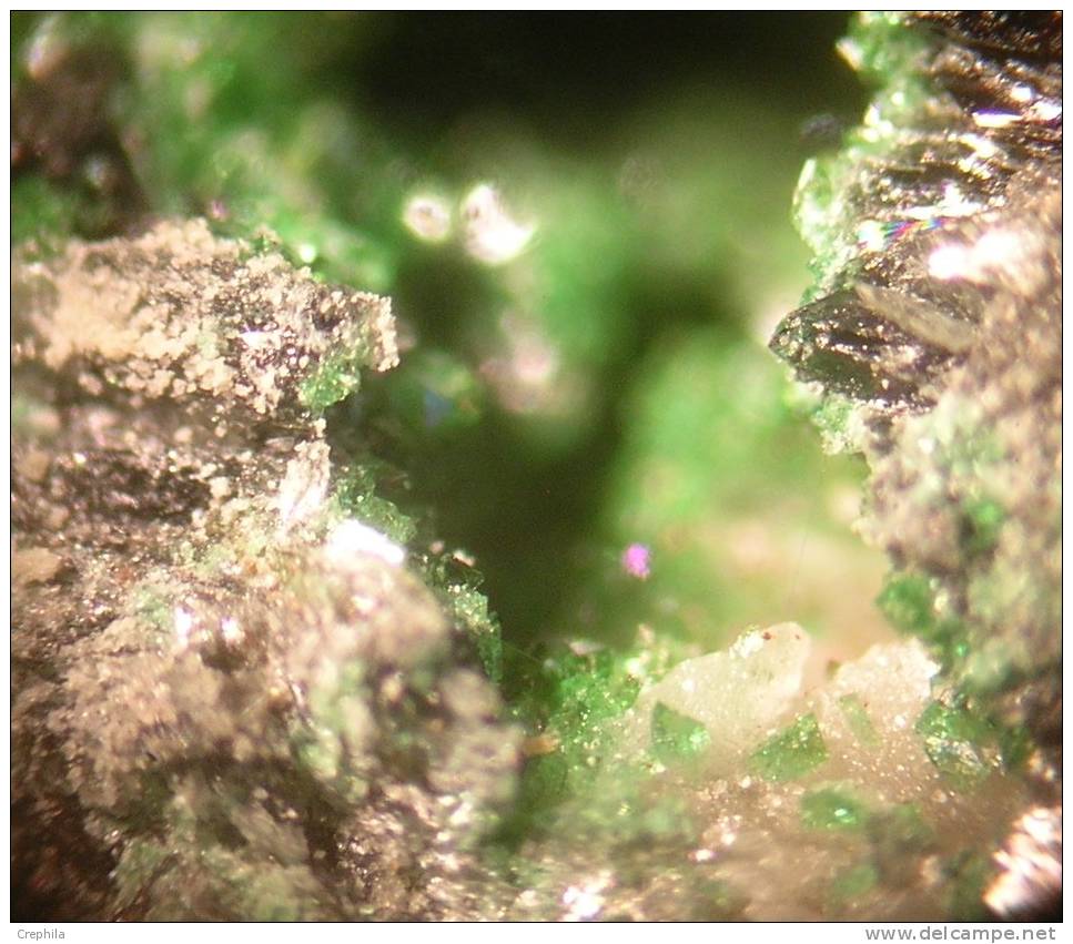LIBETHENITE - Salmchateau -  Belgique                          MICRO - Minerals