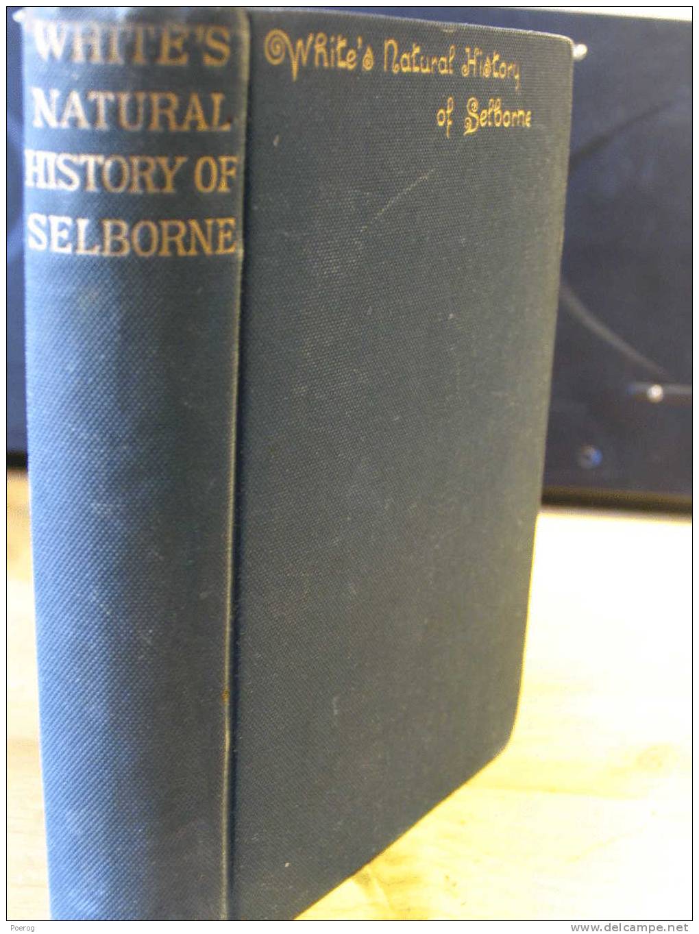 THE NATURAL HISTORY OF SELBORNE By GILBERT WHITE - GEORGE ROUTELEDGE & SONS LONDON - 1880 - Illustrations Illustré - Autres & Non Classés