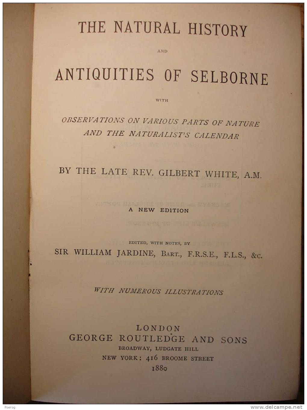 THE NATURAL HISTORY OF SELBORNE By GILBERT WHITE - GEORGE ROUTELEDGE & SONS LONDON - 1880 - Illustrations Illustré - Altri & Non Classificati