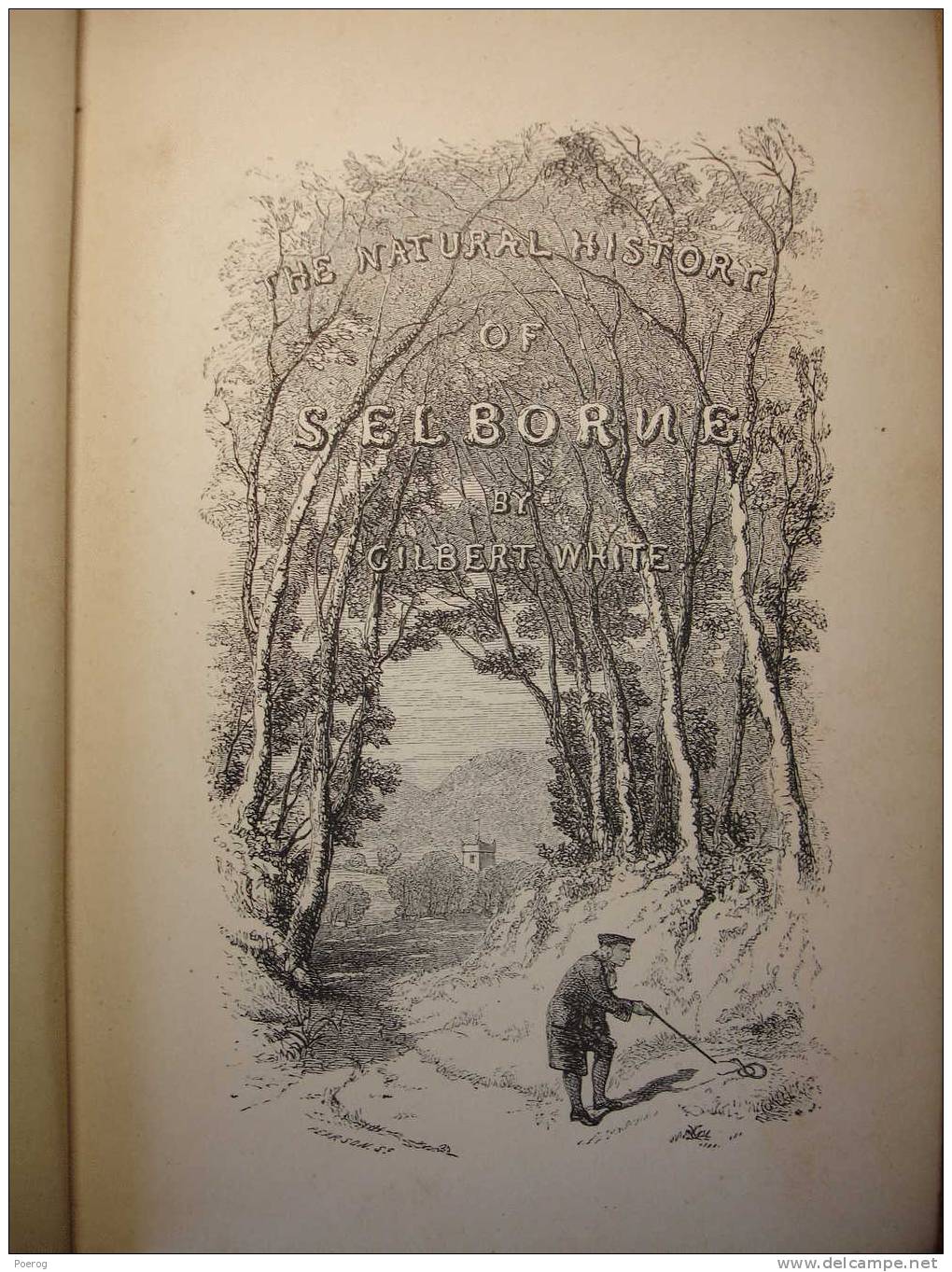 THE NATURAL HISTORY OF SELBORNE By GILBERT WHITE - GEORGE ROUTELEDGE & SONS LONDON - 1880 - Illustrations Illustré - Other & Unclassified