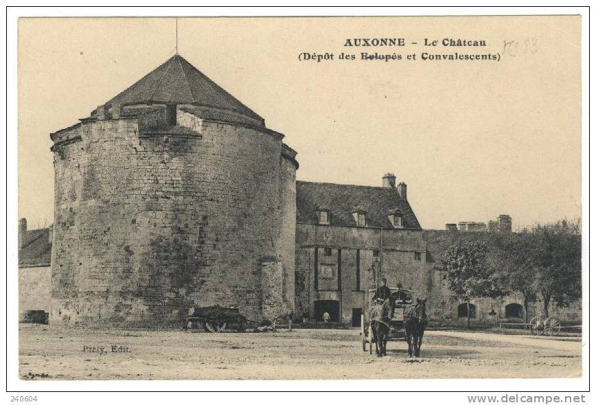 AUXONNE  --   Le Château  -  ( Dépot Des Esclopés Et Convalescents ) - Auxonne