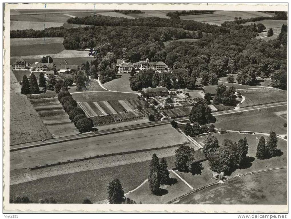 Vue Aerienne De La Ligniere Gland Suisse - Gland