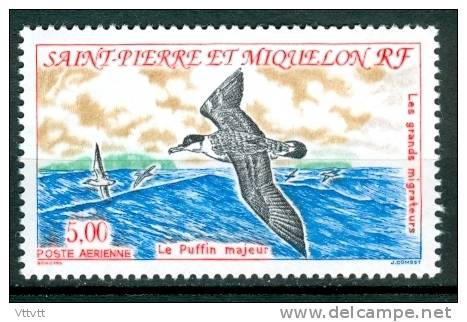 SAINT-PIERRE-ET-MIQUELON,     1993, N° 72**, Poste Aérienne, PA (Yvert Et Tellier) Oiseaux, Le Puffin Majeur - Unused Stamps