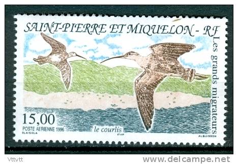 SAINT-PIERRE-ET-MIQUELON,   1996, N° 75**, Poste Aérienne, PA (Yvert Et Tellier) Oiseaux, Le Courlis - Unused Stamps