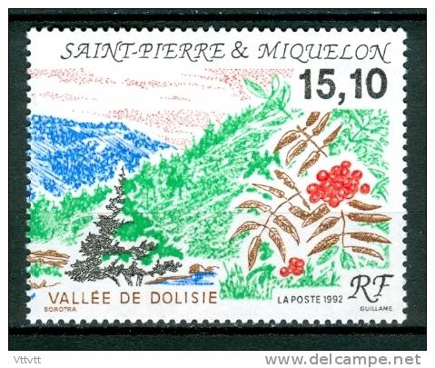 SAINT-PIERRE-ET-MIQUELON,   1992, N° 568** (Yvert Et Tellier), Patrimoine Naturel Des Iles, Vallée De Dolisée - Unused Stamps